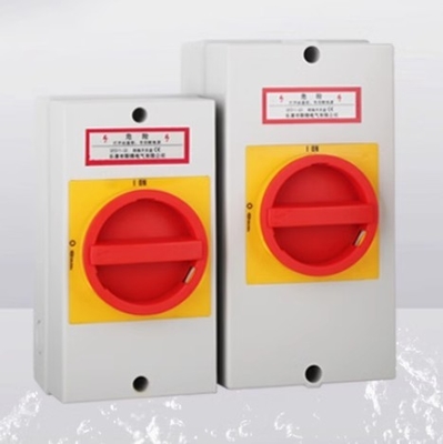 IP65 Waterproof Three-phase Rotary Isolation Disconnect Switch Rotary Cam Switch With Box